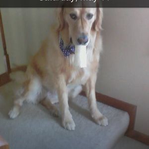 Meet your Posher, Renee